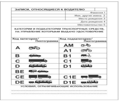 Ներմուծեք նկարագրությունը_2644